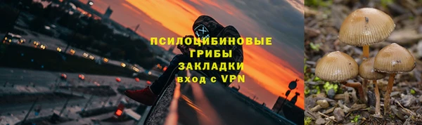mix Мегион