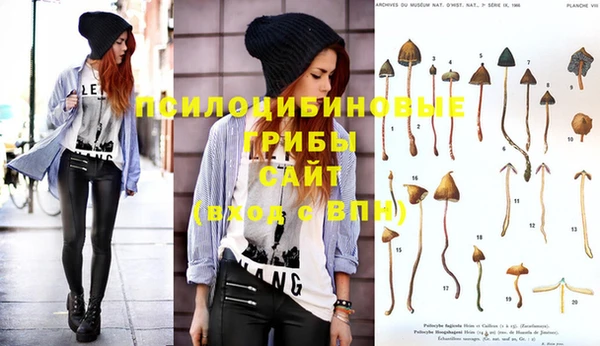 jwh Медногорск