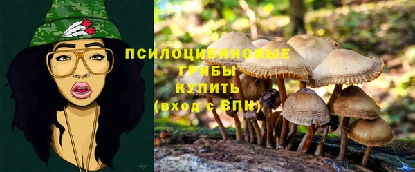 mix Мегион
