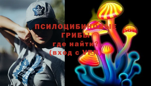 jwh Медногорск
