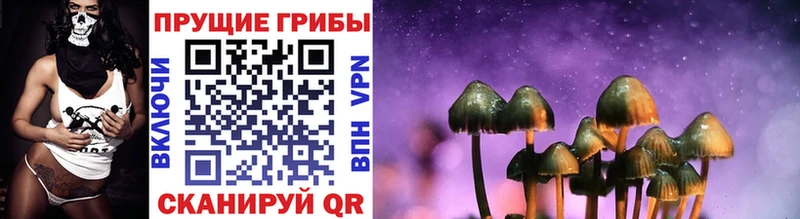 Купить закладки Клинцы Псилоцибиновые грибы MAGIC MUSHROOMS